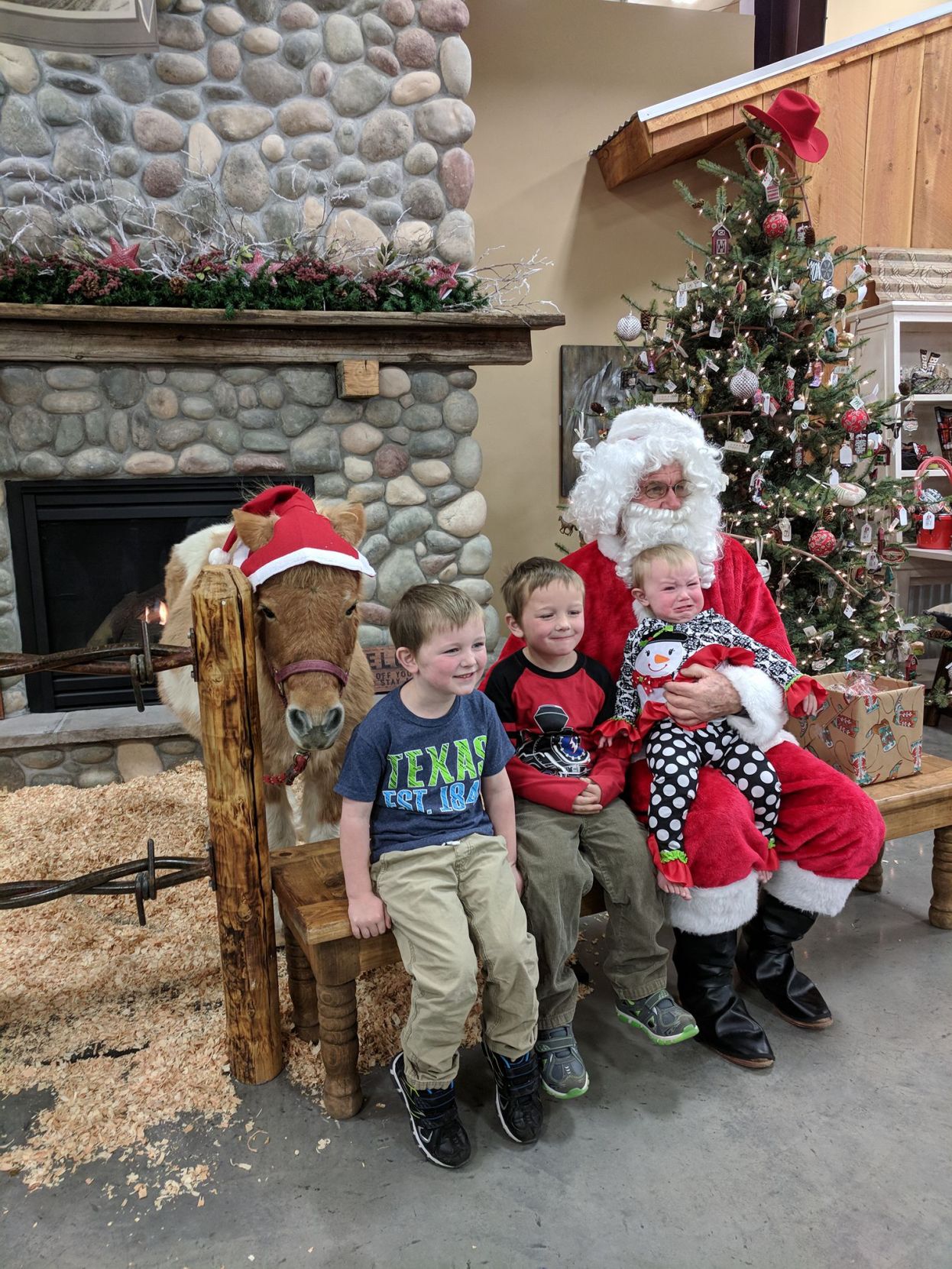 That's no reindeer